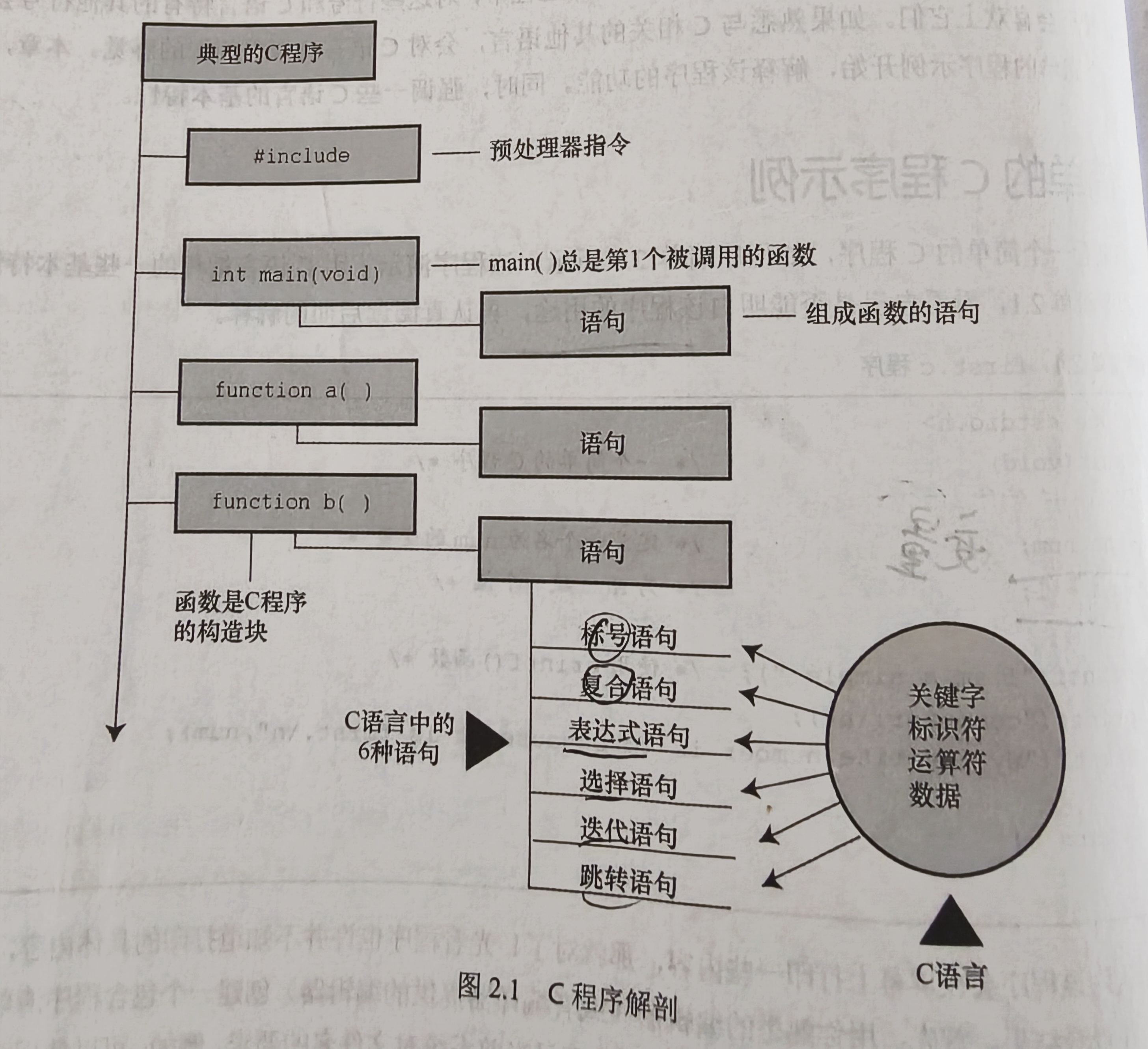 从零开始的C语言大冒险o(￣ヘ￣o#)[一]